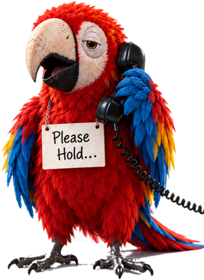 Phony the parrot holding a phone